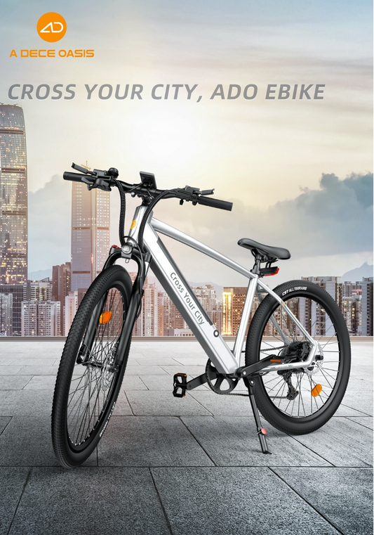 Vietnam electric bicycle