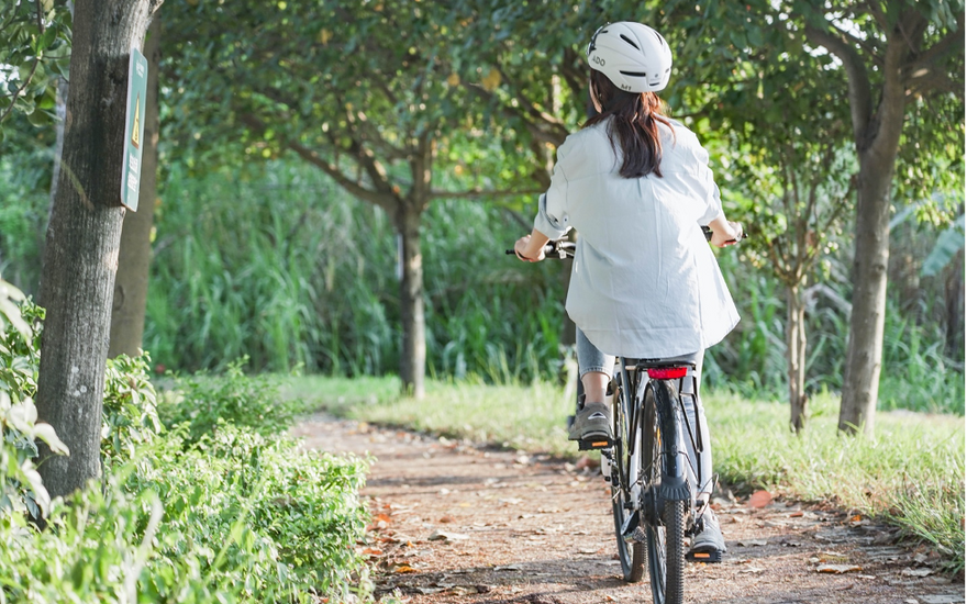 Xe đạp điện Bình Tân