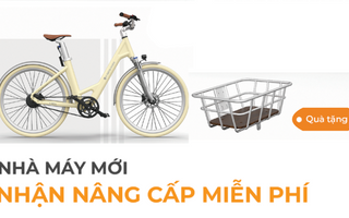 NHÀ MÁY VIỆT NAM – ƯU ĐÃI CỰC HẤP DẪN!